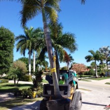 lanscaping-valencialawn-6