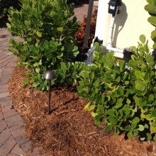 lanscaping-valencialawn-7