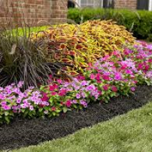 mulch-bed-valencia-lawn-3